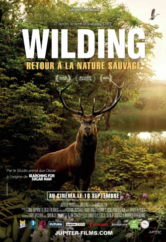 Wilding, retour à la nature sauvage - Affiche