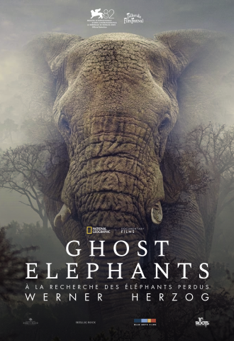 Ghost Elephants - Affiche