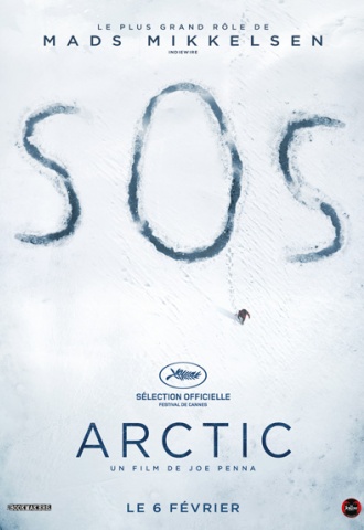 Arctic - Affiche
