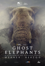 Ghost Elephants - Affiche
