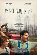 Prince of Texas - Affiche