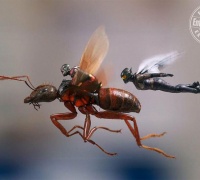 Ant-Man et la guêpe	- Photo